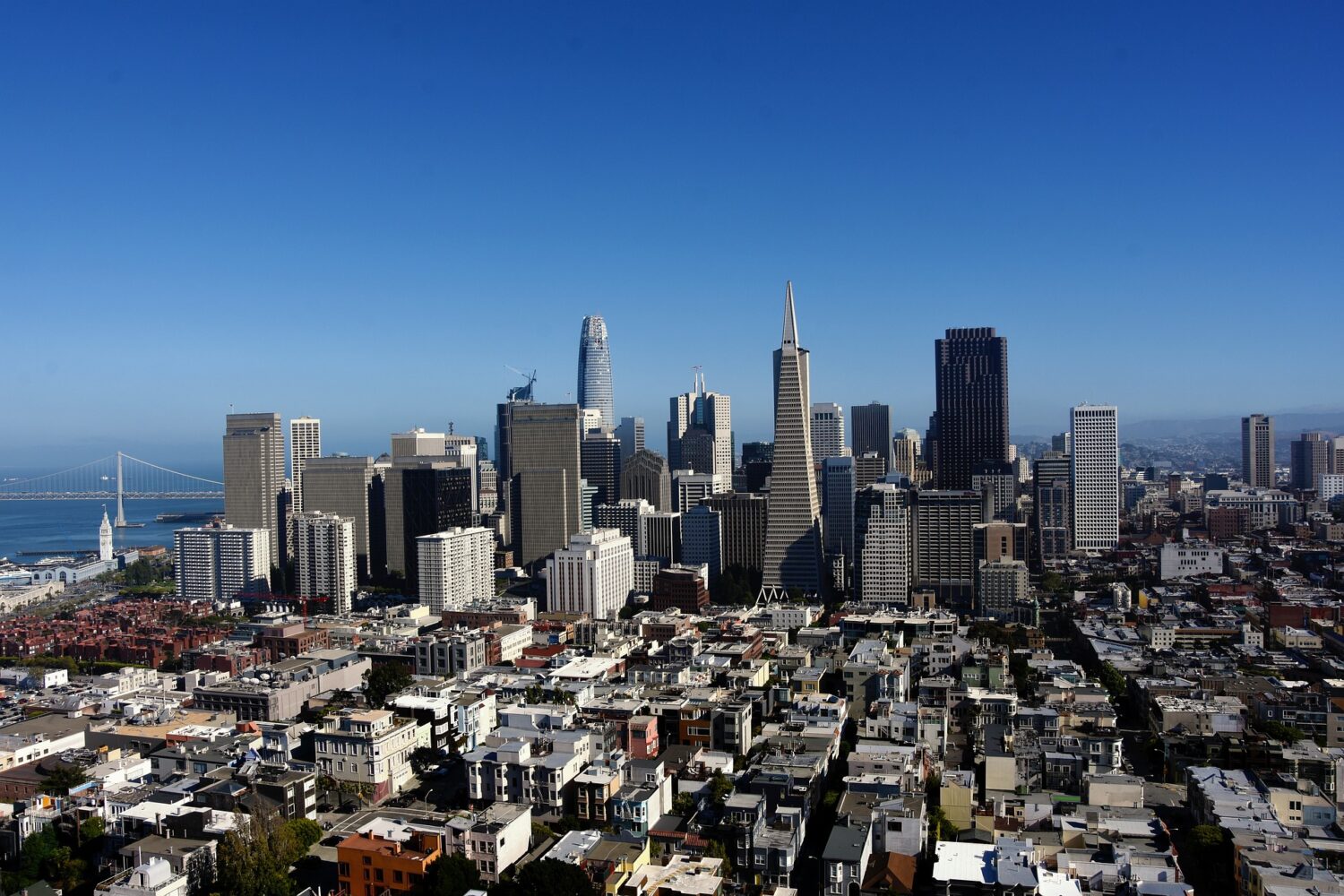 San Francisco skyline on a clear blue sky day