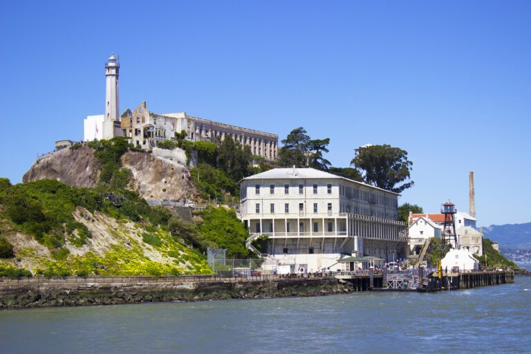 Alcatraz Close up